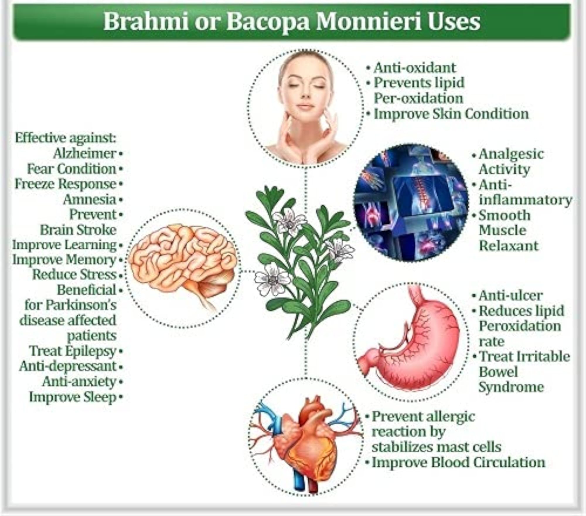 Organic Brahmi Powder, Bacopa Monnieri Leaves, 500 Gms